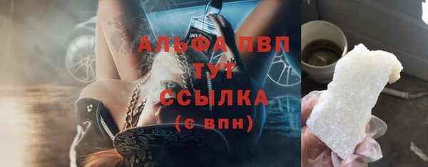 стаф Беломорск