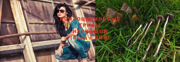стаф Беломорск