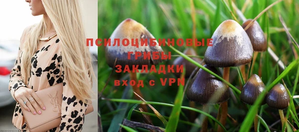 первитин Белокуриха